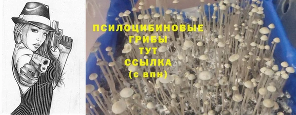мяу мяу мука Абаза