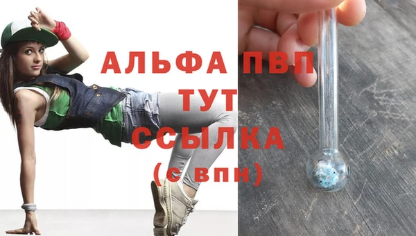 мяу мяу мука Абаза